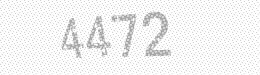 Visual security code — type the characters shown in the image